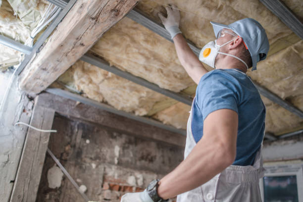 Best Commercial Insulation in Franklin, LA