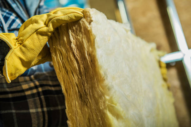 Best Spray Foam Insulation in Franklin, LA